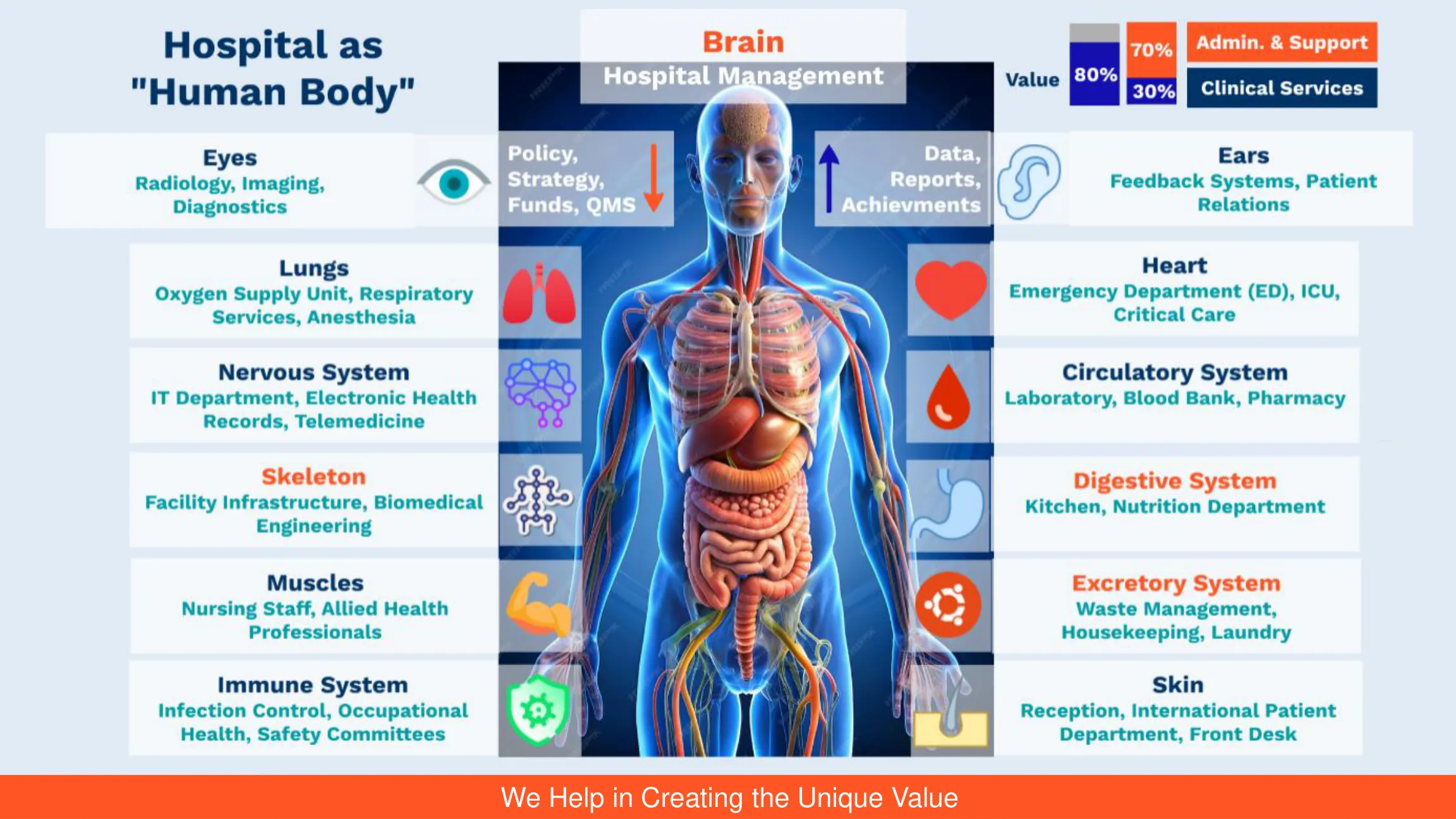 Deck slide “Hospital as a human body”: every hospital department mapped onto an organ or body system, with management as the brain.